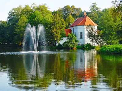 Roztoczańskie Nieruchomości